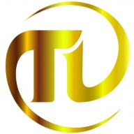 Logo Công ty Cổ phần Sản Xuất Thương Mại Dịch Vụ Mỹ Thuật Tân Việt