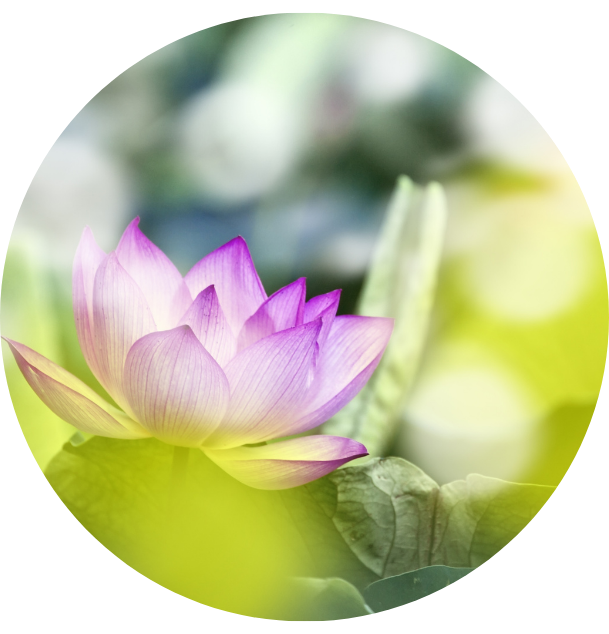 Thiết kế chưa có tên (2)